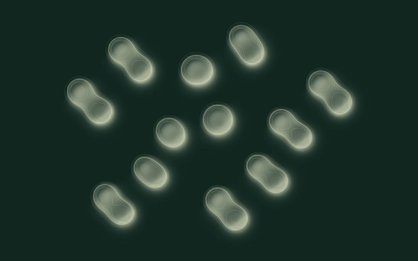 An alternate cellular structure from the division study.